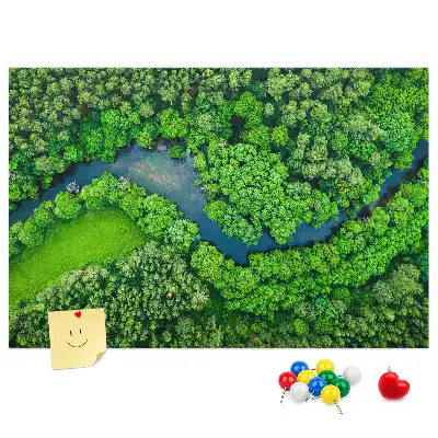 Printed Cork Memo Board River in the forest