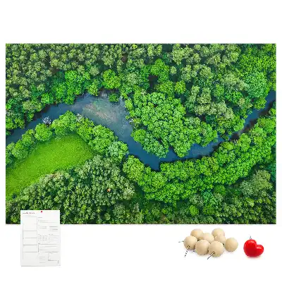 Printed Cork Memo Board River in the forest