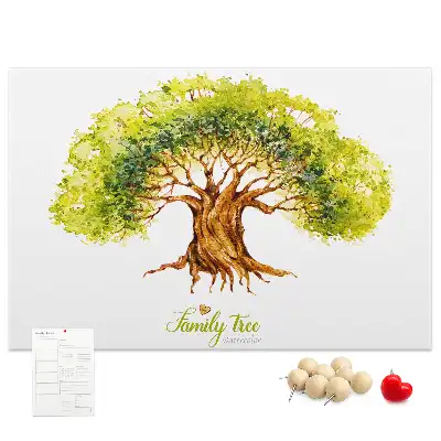 Cork memo board Family tree