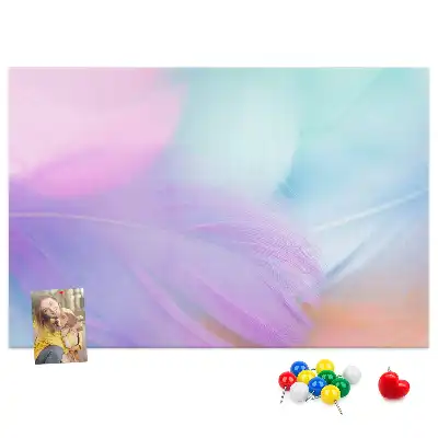 Colorful Feathers Printed Cork Memo Board