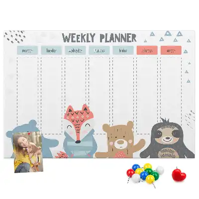 Printed Cork Weekly Schedule Memo Board