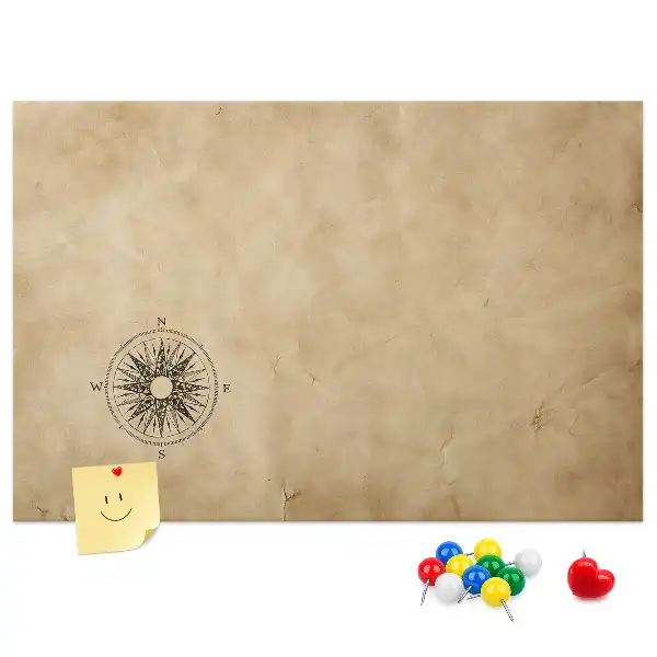 Compass printed cork board canvas