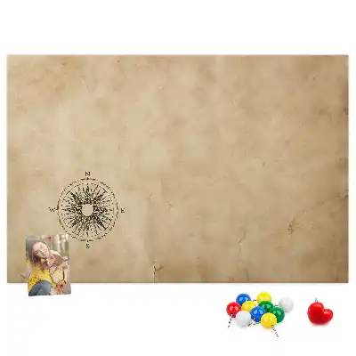 Compass printed cork board canvas