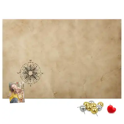 Compass printed cork board canvas