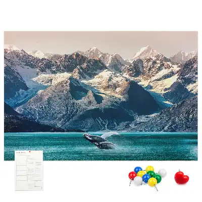 Printed Cork Memo Board Whale water