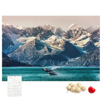 Whale-shaped printed cork memo board