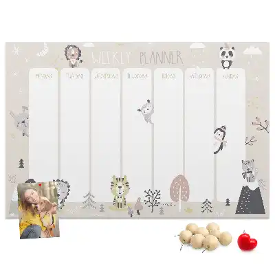 Weekly Plan Cork Memo Board