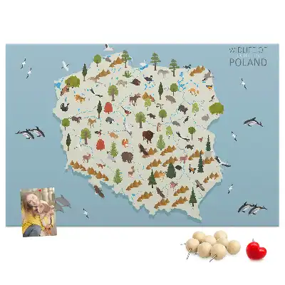 Printed Cork Board Poland Animal Map