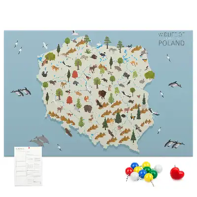 Printed Cork Board Poland Animal Map