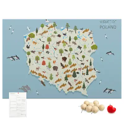 Printed Cork Board Poland Animal Map