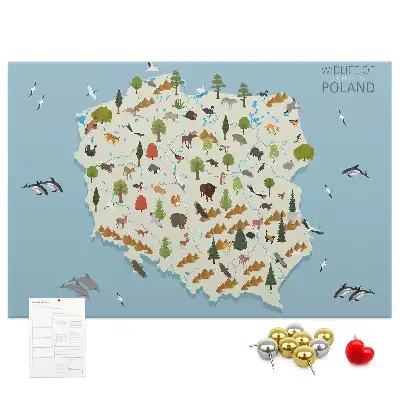 Printed Cork Board Poland Animal Map