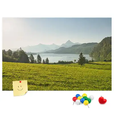 Printed Cork Memo Board Mountains field