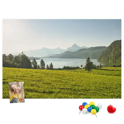 Printed Cork Memo Board Mountains field
