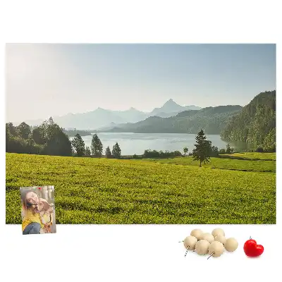 Printed Cork Memo Board Mountains field