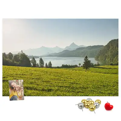 Printed Cork Memo Board Mountains field