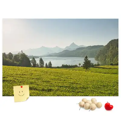 Mountains Field Printed Cork Memo Board