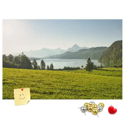 Printed Cork Memo Board Mountains field