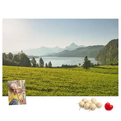 Mountains Field Printed Cork Memo Board