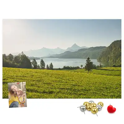 Printed Cork Memo Board Mountains field