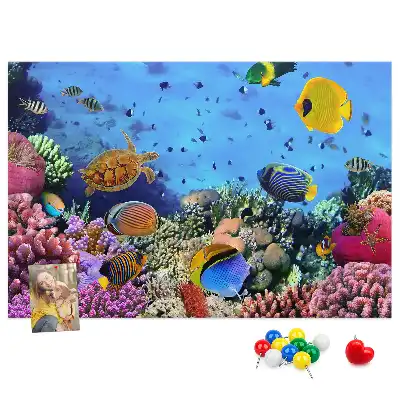 Underwater Life Cork Memo Board