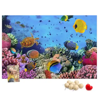 Underwater Life Cork Memo Board