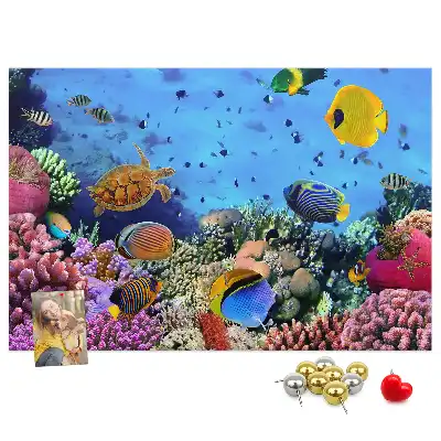 Cork memo board Underwater life