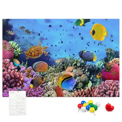 Underwater Life Cork Memo Board