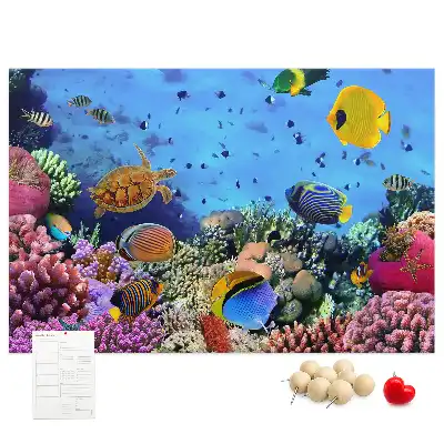Underwater Life Cork Memo Board