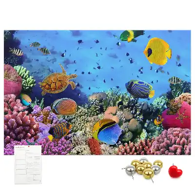 Cork memo board Underwater life