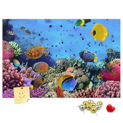 Underwater Life Cork Memo Board