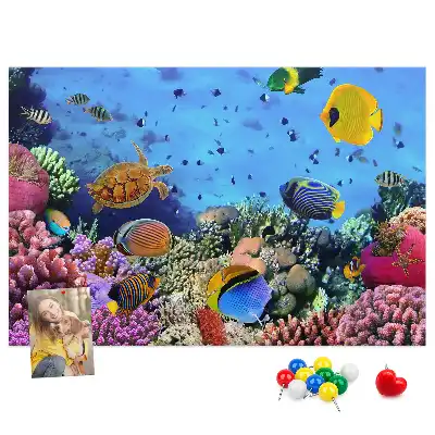 Cork memo board Underwater life