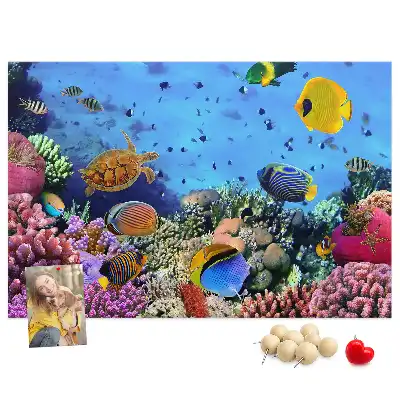 Underwater Life Cork Memo Board