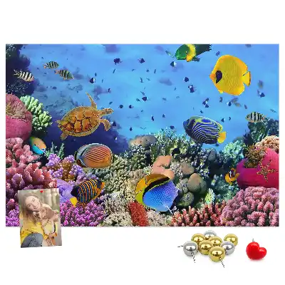 Underwater Life Cork Memo Board