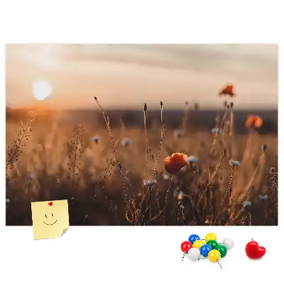 Sunrise Field Printed Cork Board