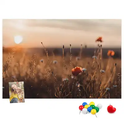 Sunrise Field Printed Cork Board