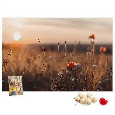 Sunrise Field Printed Cork Board