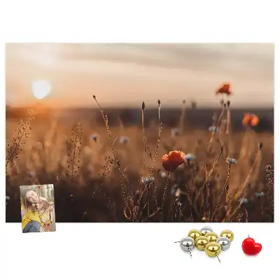 Sunrise Field Printed Cork Board