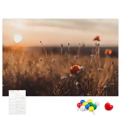 Printed Cork Board Field sunrise