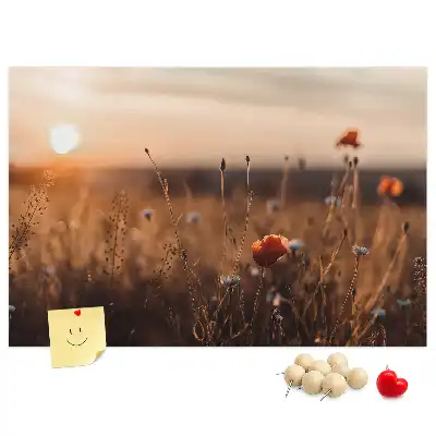 Sunrise Field Printed Cork Board