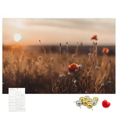 Sunrise Field Printed Cork Board