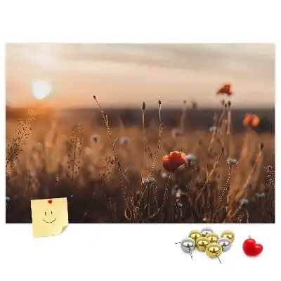 Sunrise Field Printed Cork Board