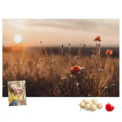 Printed Cork Board Field sunrise