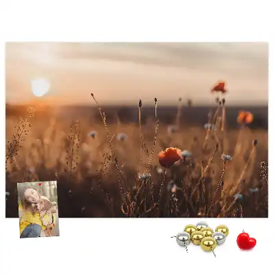 Printed Cork Board Field sunrise