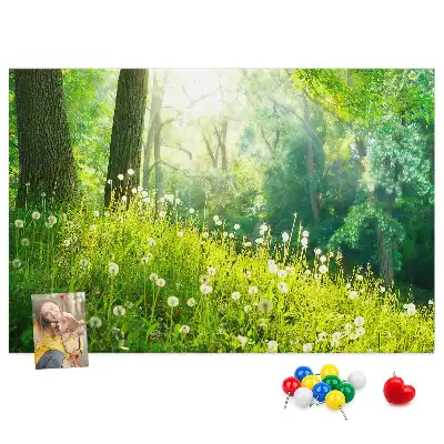 Spring Nature Printed Cork Memo Board