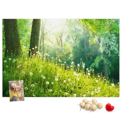 Spring Nature Printed Cork Memo Board