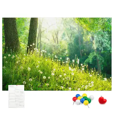 Spring Nature Printed Cork Memo Board