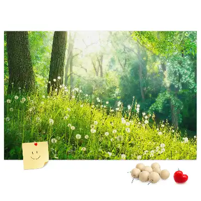 Printed Cork Memo Board Spring nature