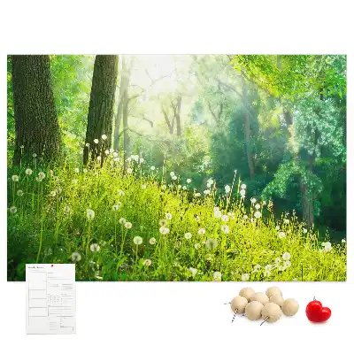 Spring Nature Printed Cork Memo Board