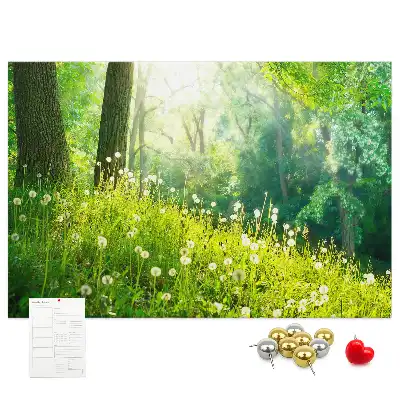 Spring Nature Printed Cork Memo Board