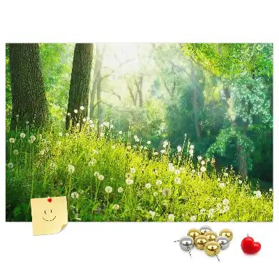 Printed Cork Memo Board Spring nature